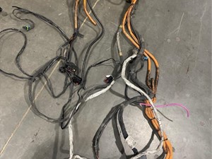 Used 2020 DETROIT Wiring Harness (Stock #31109)) Part Image