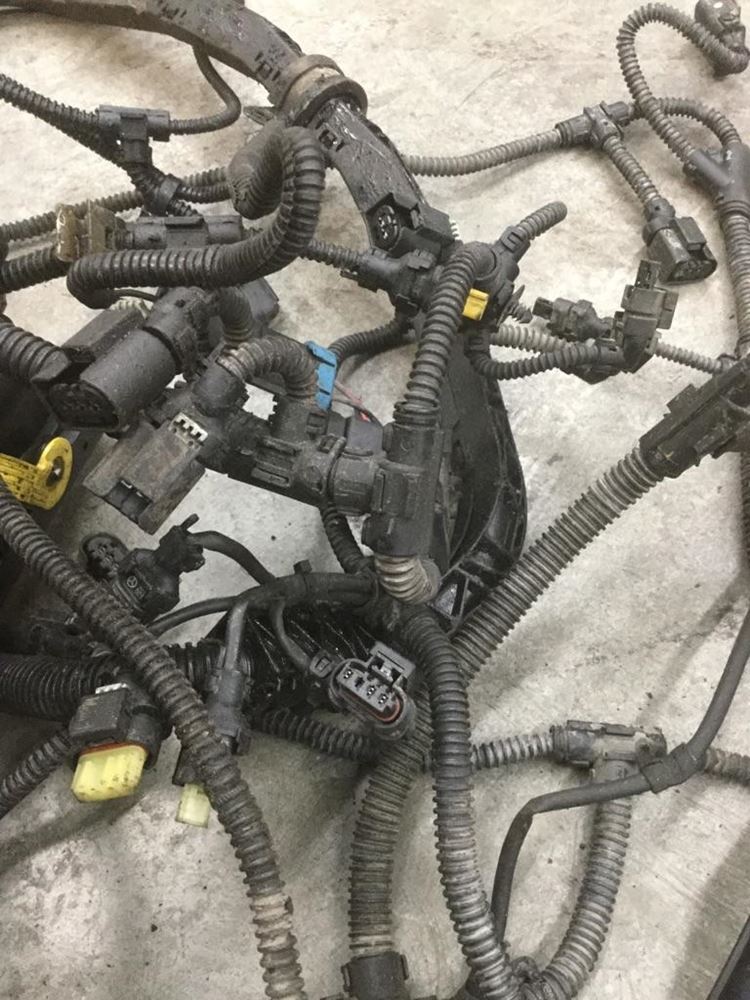 FREIGHTLINER Other (Stock 13609) Wiring Harnesses TPI