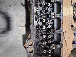 Used Head Image
