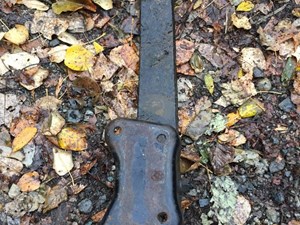 Used Spring, Front Leaf Image