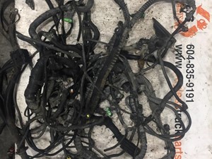 Used Wiring Harness (Stock #20097)) Part Image