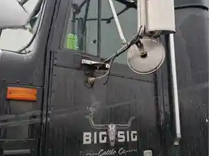Used 1998 International 9200 Door (Stock #PTP-164-10)) Part Image