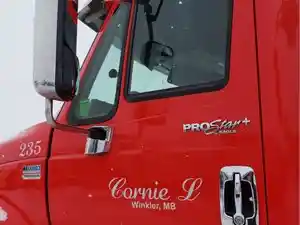 Used 2013 International PROSTAR Door (Stock #PTP-171-8)) Part Image