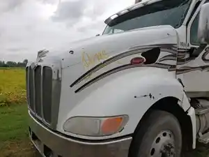 Used 2011 Peterbilt 387 Hood (Stock #PTP-196-6)) Part Image
