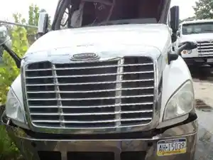 Used 2016 Freightliner Cascadia 125 Hood (Stock #S5288HOOD)) Part Image
