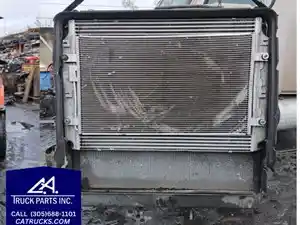 Used 2016 Freightliner Cascadia 125 Radiator (Stock #9898-6)) Part Image