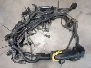 Used 2017 DETROIT DD15 Wiring Harness (Stock #1372-30)) Part Image