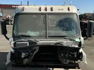 Used 2016 Freightliner Cascadia 113 Cab (Stock #2010-19)) Part Image