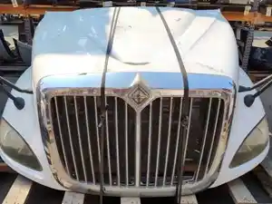 Used 2010 INTERNATIONAL ProStar Hood (Stock #1289-15)) Part Image