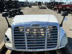 Used 2012 FREIGHTLINER Cascadia 125 Hood (Stock #1619-15)) Part Image