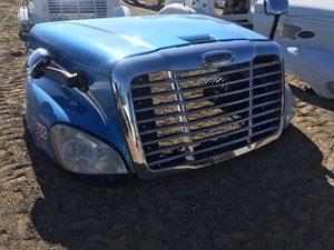 Used 2015 Freightliner Cascadia 125 Hood (Stock #SV-18-13-34)) Part Image