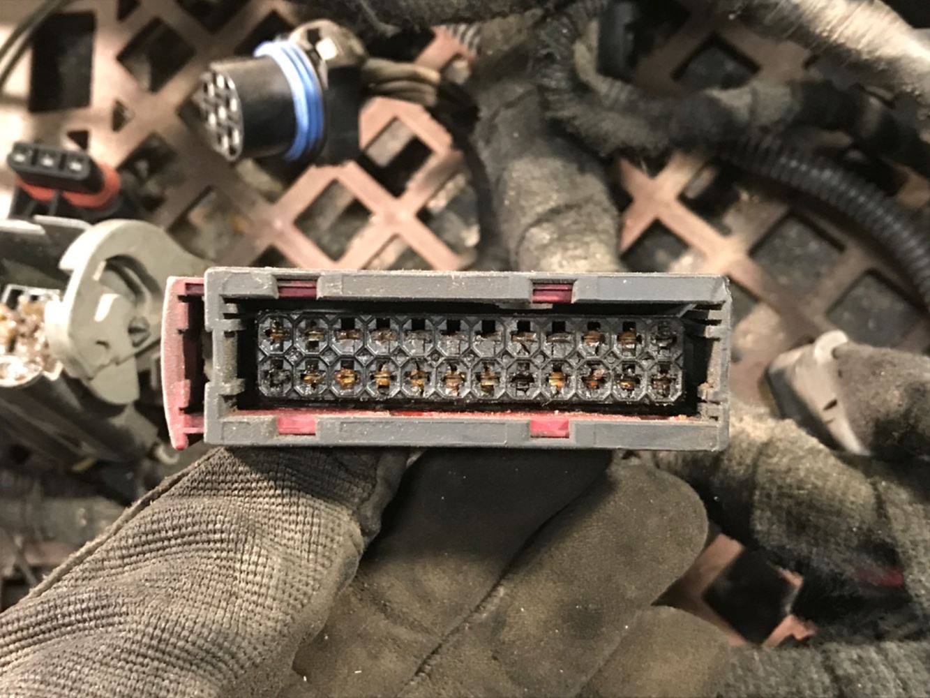 2006 International DT466 (Stock #P-13067) | Wiring Harnesses | TPI