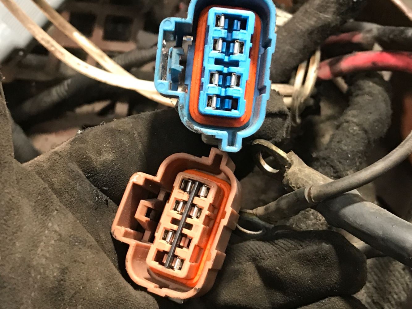 2006 International DT466 (Stock #P-13067) | Wiring Harnesses | TPI