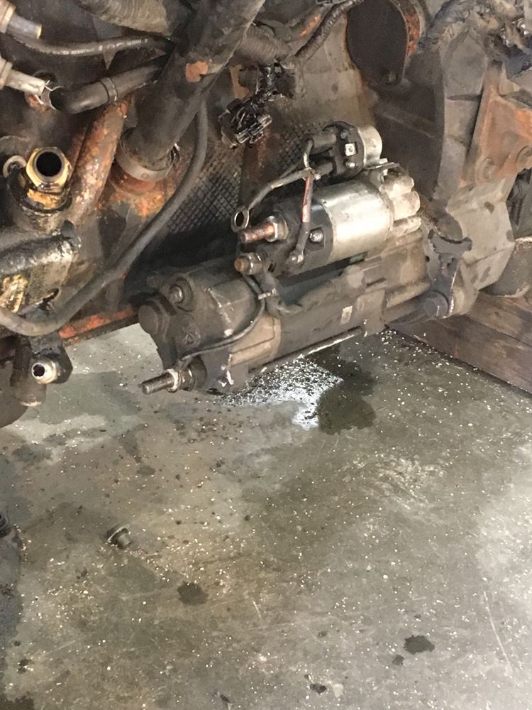 International Starters For Sale