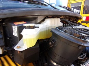 Used 2008 FREIGHTLINER B2 Radiator Overflow Bottle (Stock #7542)) Part Image