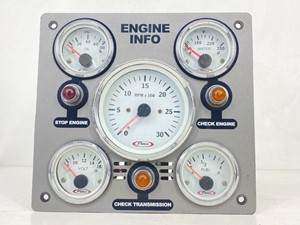 Used 2008 Instrument Cluster (Stock #P-22871)) Part Image