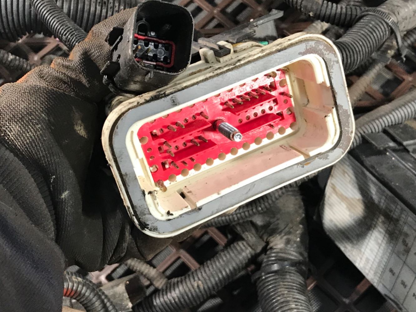 2012 Detroit DD13 (Stock #P-13272) | Wiring Harnesses | TPI