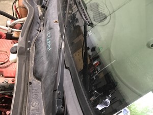 Used 2017 International PROSTAR Cowl (Stock #P-3805)) Part Image