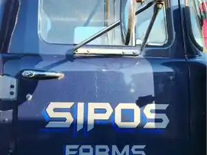 Used 1985 Mack RS686LST Door (Stock #P-68701)) Part Image