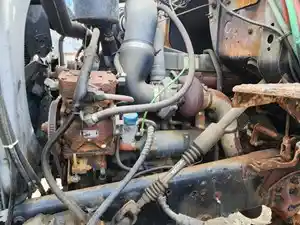 Used 1989 Ford 210 Engine Assy (Stock #P-75725)) Part Image