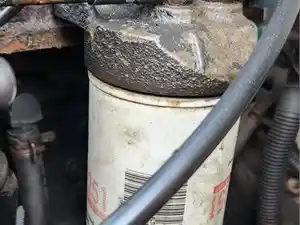 Used 1996 Cummins B5.9 Water Seperator (Stock #P-112041)) Part Image