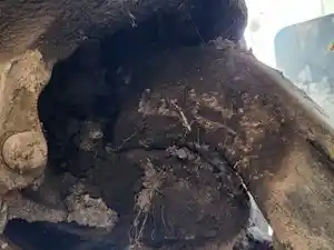 Photo of part