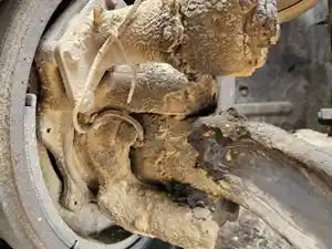 Used 2006 Mack CV713 Granite Spindle/Knuckle (Stock #P-102246)) Part Image