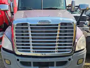 Used 2008 Freightliner Cascadia 125 Hood (Stock #P-86490)) Part Image