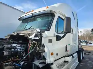 Used 2014 Freightliner Cascadia 125 Cab (Stock #P-496566)) Part Image