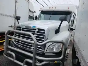 Used 2014 Freightliner Cascadia 125 Moose Bumper (Stock #P-48271)) Part Image