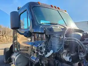 Used 2017 Freightliner Cascadia 113 Cab (Stock #P-113989)) Part Image