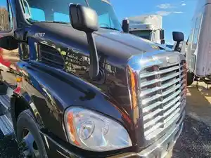 Used 2017 Freightliner Cascadia 113 Hood (Stock #P-113955)) Part Image