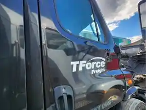 Used 2018 Freightliner Cascadia 113 Door (Stock #P-113243)) Part Image
