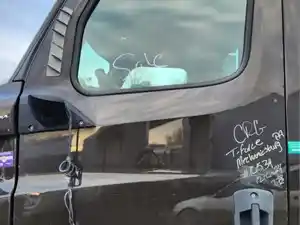 Used 2020 Freightliner Cascadia 116 Day Cab Door (Stock #P-114951)) Part Image