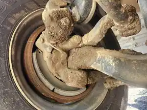 Used 2020 Mack Pinnacle Spindle/Knuckle (Stock #P-504498)) Part Image