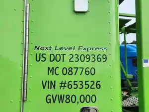 Used 2020 Peterbilt 389 Access Door (Stock #P-508554)) Part Image