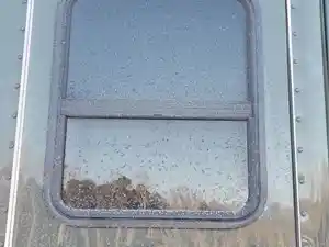 Used 2023 Kenworth T680 Access Door (Stock #P-495026)) Part Image