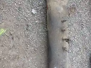 Photo of part