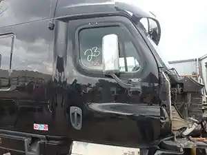 Used 2013 FREIGHTLINER CASCADIA Door (Stock #36612)) Part Image