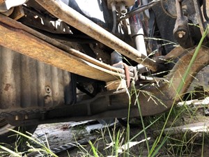 Used 2003 FREIGHTLINER COLUMBIA Spring, Front Leaf (Stock #814)) Part Image