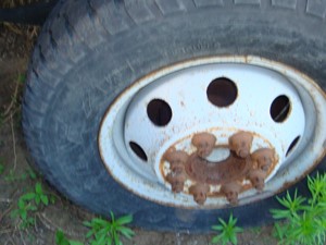 Used 1998 16.0" E-350 Wheel (Stock #5044-17)) Part Image