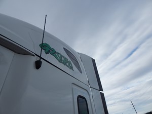 Used 2013 Freightliner Cascadia 125 Sleeper Part (Stock #5062-25)) Part Image