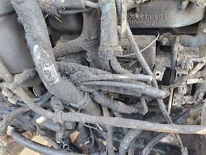 Used 2005 International DT466 Engine Assy (Stock #202337)) Part Image