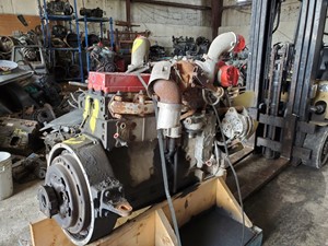 Used Cummins C8.3; ISC Head (Stock #202070)) Part Image