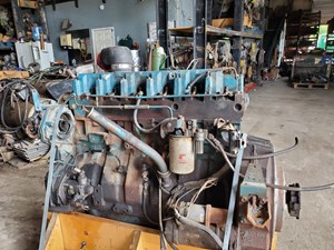 Used International DT466 Flywheel (Stock #202065)) Part Image