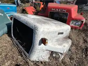 Used 1986 Ford LS9000 Hood Image