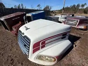 Used 2005 Mack CH613 Hood Image