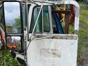 Used Universal Peterbilt 379 Door Image