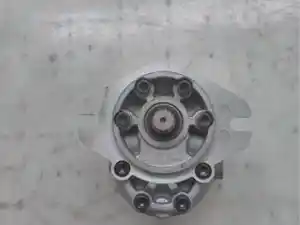 New Pump and Motor (Stock #1209993H91)) Part Image