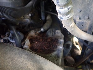 Used 1997 GM/Chev (HD) 5.7L Starter (Stock #TA088-7)) Part Image